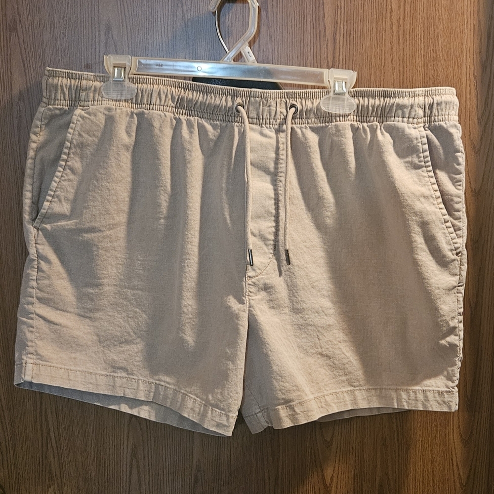 American Eagle Outfitters Men's Beige Shorts